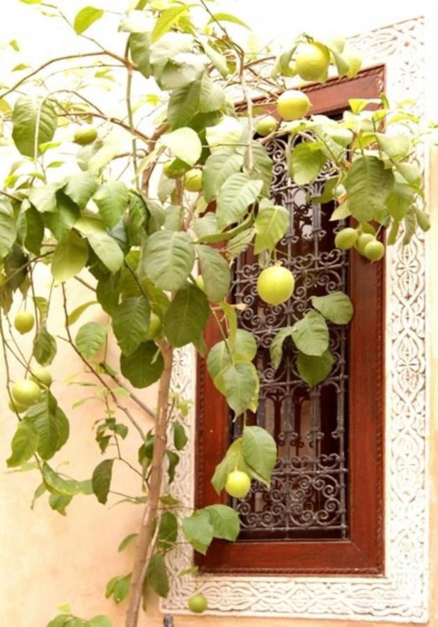 Riad Dar Rania Marrakech Medina Jemaa El Fna Marrakesh Buitenkant foto